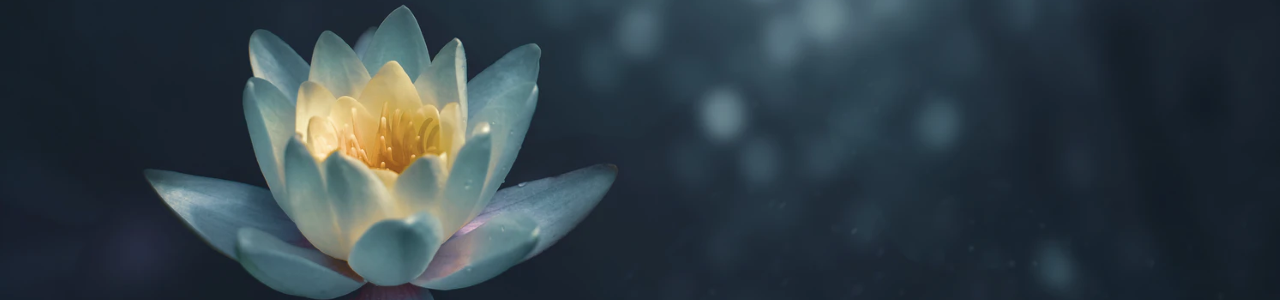 Modulare Yoga-Ausbildung